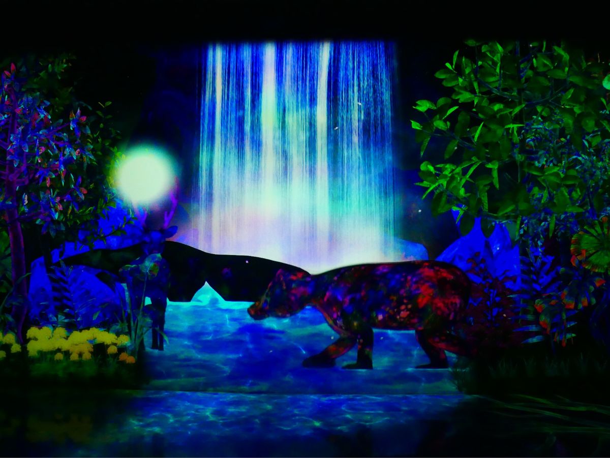 チームラボフォレスト 福岡 ①