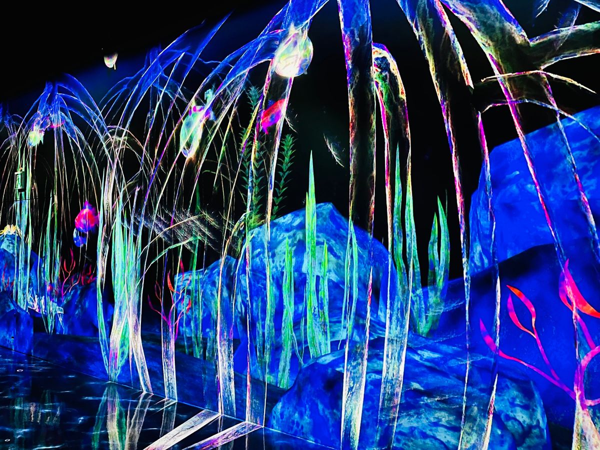 チームラボフォレスト 福岡 ①