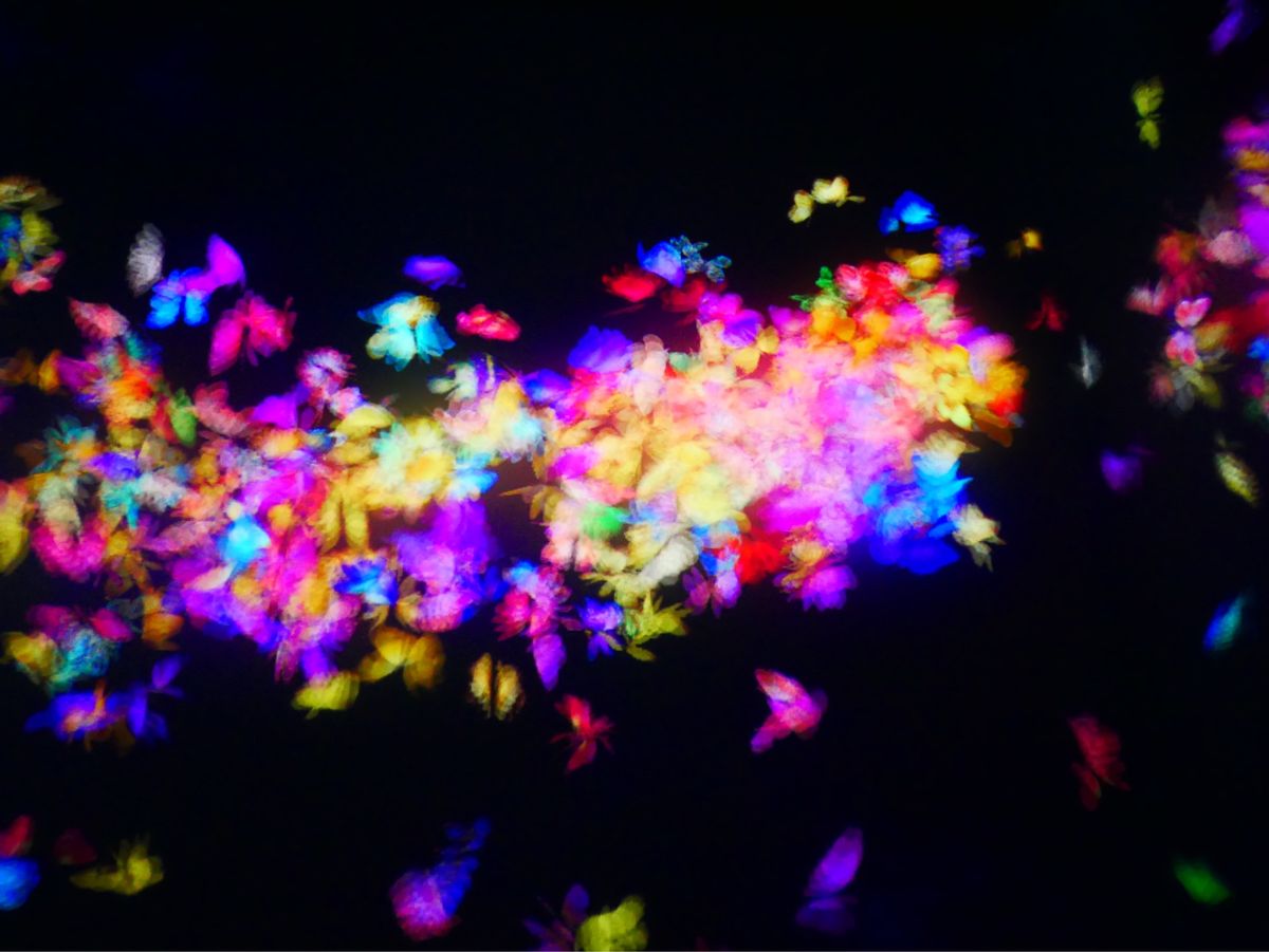 チームラボフォレスト 福岡 ①