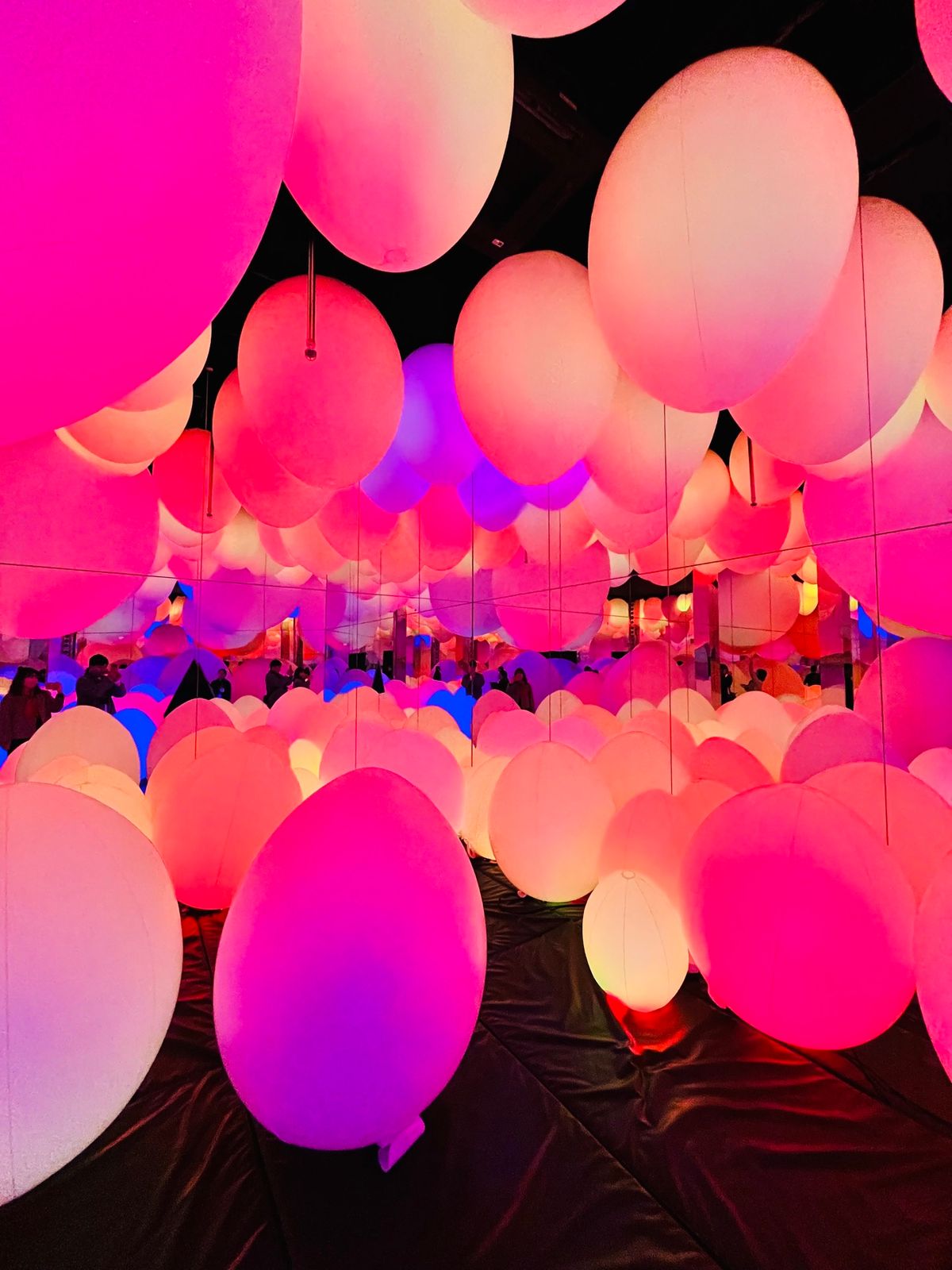 チームラボフォレスト 福岡 ②