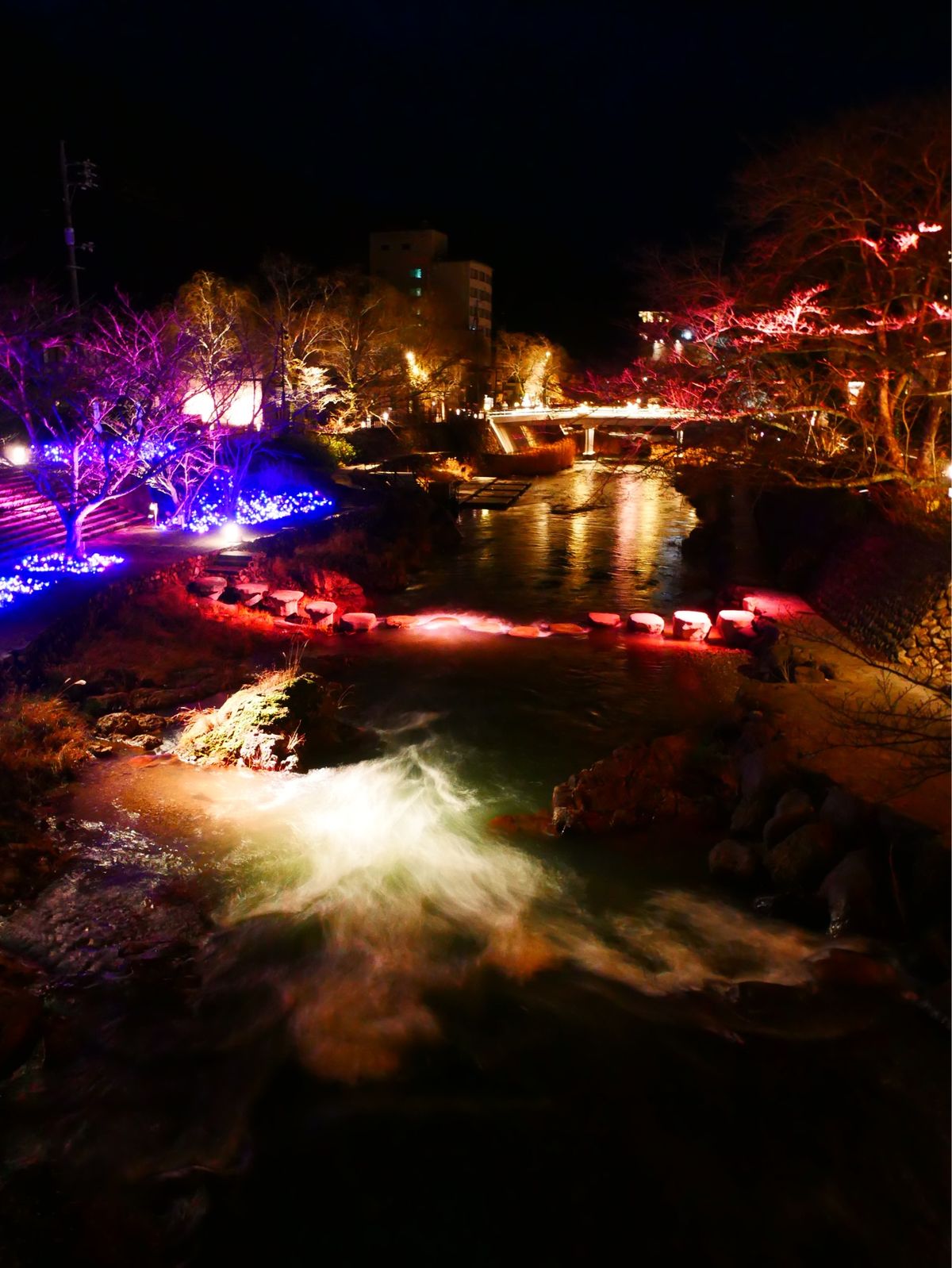 音信川うたあかり2025