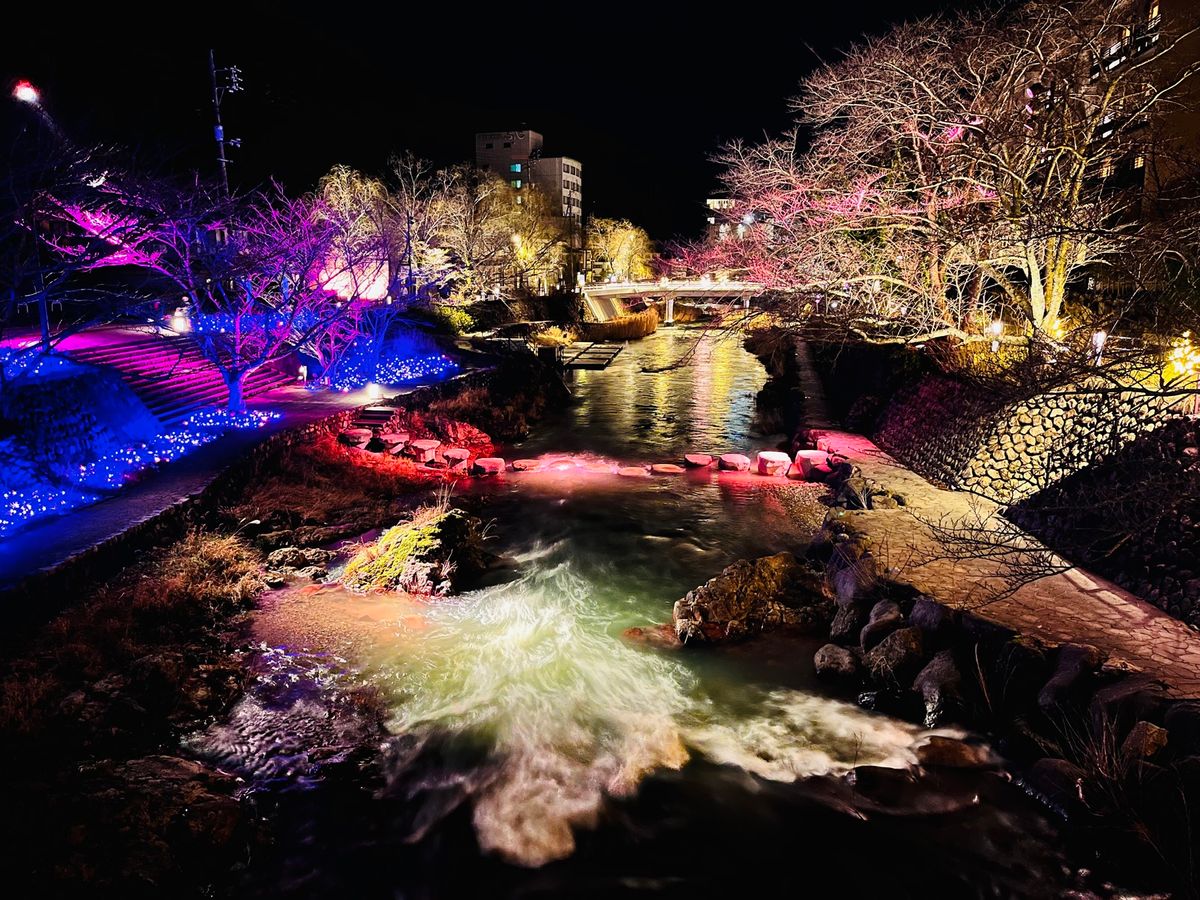 音信川うたあかり2025