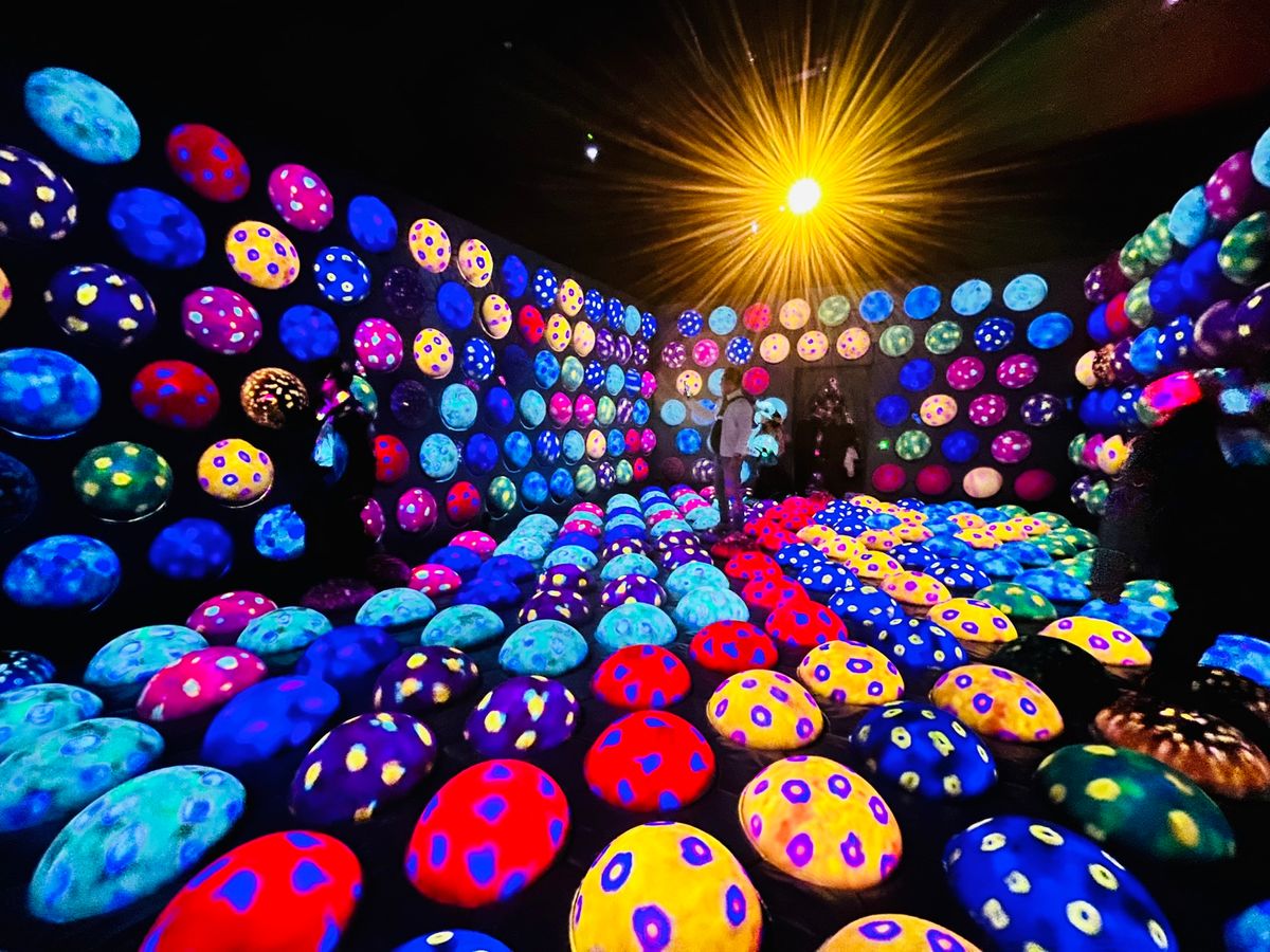 チームラボフォレスト 福岡 ②