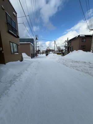 留萌に到着

道端に積もってる雪にも興奮する東京キッズ