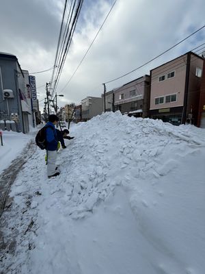 留萌に到着

道端に積もってる雪にも興奮する東京キッズ