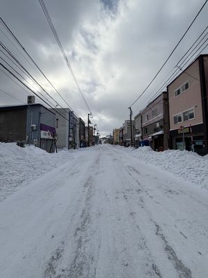 留萌に到着

道端に積もってる雪にも興奮する東京キッズ