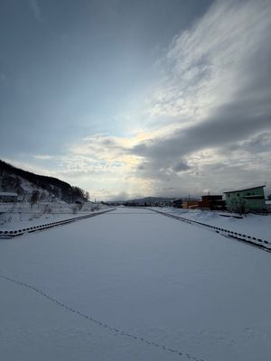 留萌川とアザラシ

翌朝、旧留萌港東突堤灯柱 (青灯台)のあたりで野生のア...