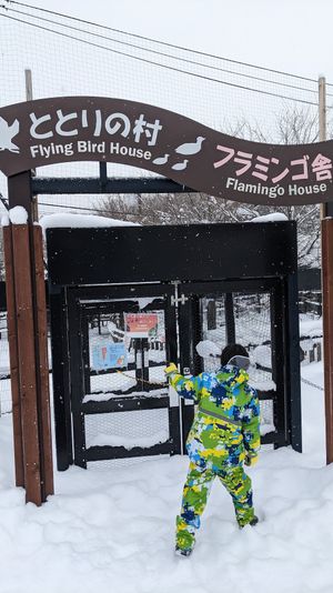 レンタカートラブルのおかげで時間を使ってしまったので急いであさひやま動物園...