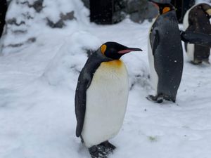 レンタカートラブルのおかげで時間を使ってしまったので急いであさひやま動物園...