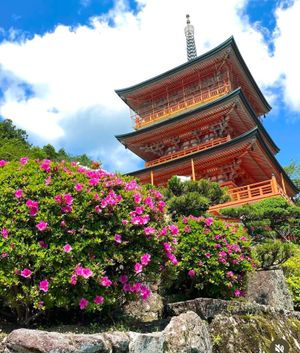 遂に見ました❣️
那智山青岸渡寺の三重の塔と那智の滝のコラボ❣️

和歌山...