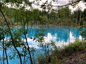 北海道美瑛町に白金青い池を見に行きました👍
この日は天気が良く、サイコーの...