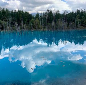 北海道美瑛町に白金青い池を見に行きました👍
この日は天気が良く、サイコーの...