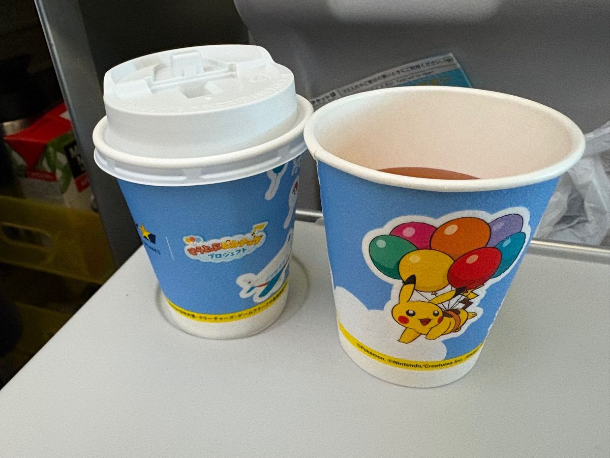 ポケモンジェットだった❤️