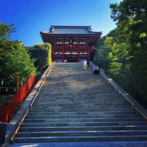 早朝に行った 鶴岡八幡宮 広い敷地の神社で空気感がなんか周りと違う感じが好き