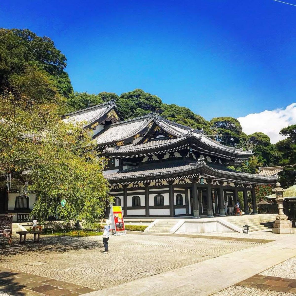 長谷寺からの眺めも最高でした！海好きな自分にはたまらない場所です