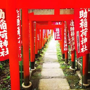 鳥居⛩️がどこまでも続く佐助稲荷神社
ここまで鳥居が続くと凄く神秘的です