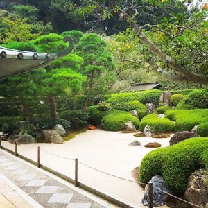 竹林が凄く印象的な報国寺