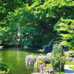 長谷寺からの眺めも最高でした！海好きな自分にはたまらない場所です