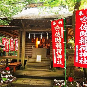 鳥居⛩️がどこまでも続く佐助稲荷神社
ここまで鳥居が続くと凄く神秘的です