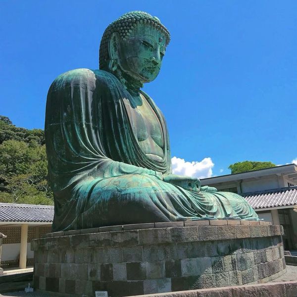日本・神奈川県「ドラマロケ地巡礼神奈川県の旅」の写真：鎌倉の大仏　近くで見ると大きくて迫力があります