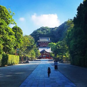 早朝に行った 鶴岡八幡宮 広い敷地の神社で空気感がなんか周りと違う感じが好き