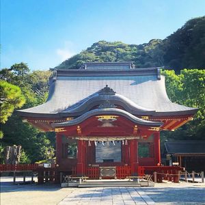 早朝に行った 鶴岡八幡宮 広い敷地の神社で空気感がなんか周りと違う感じが好き