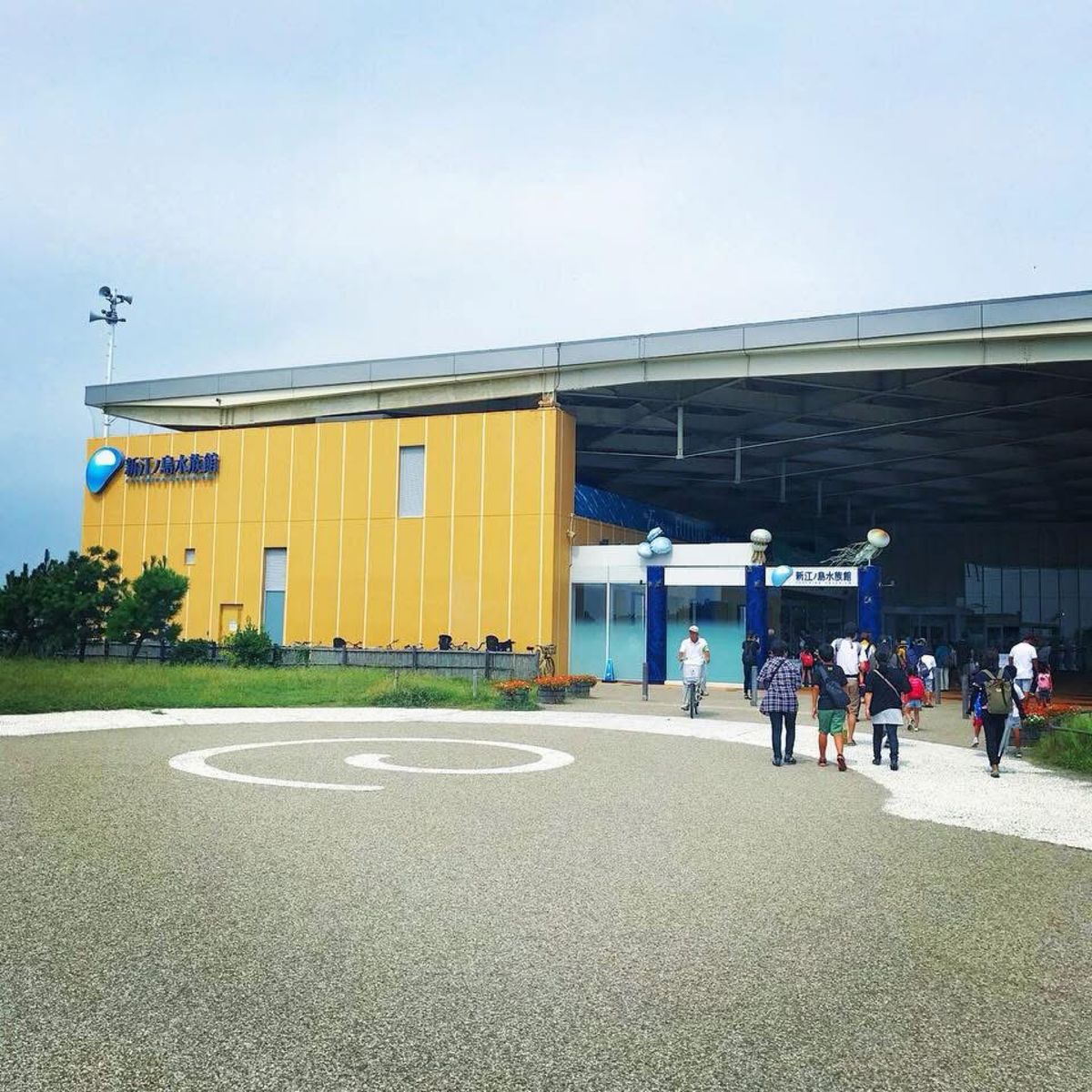 ドラマ『好きな人がいること』のロケ地になった、新江ノ島水族館🐟
好きなドラ...