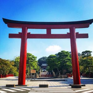 早朝に行った 鶴岡八幡宮 広い敷地の神社で空気感がなんか周りと違う感じが好き