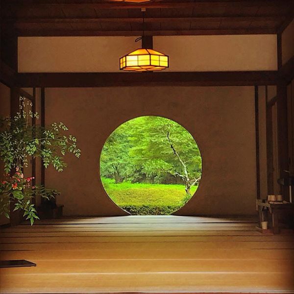 日本・神奈川県「ドラマロケ地巡礼神奈川県の旅」の写真：竹林が凄く印象的な報国寺