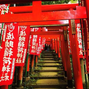 鳥居⛩️がどこまでも続く佐助稲荷神社
ここまで鳥居が続くと凄く神秘的です