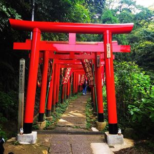 鳥居⛩️がどこまでも続く佐助稲荷神社
ここまで鳥居が続くと凄く神秘的です