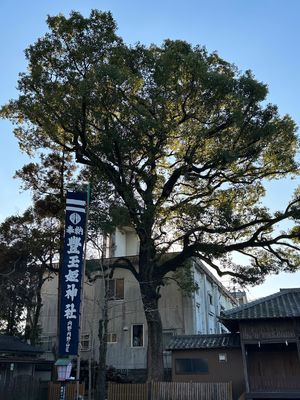 嬉野温泉泊