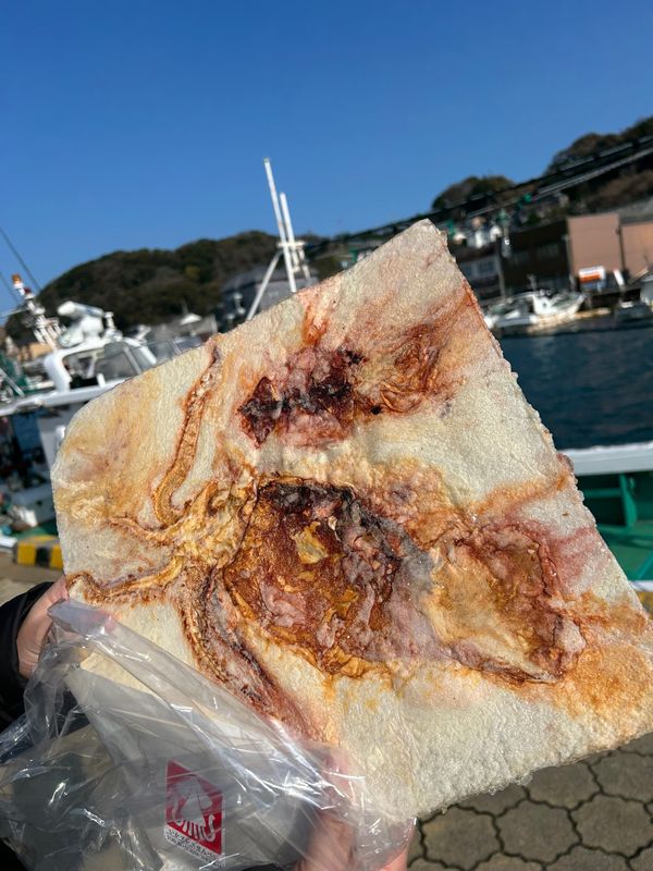 日本・佐賀県「正月旅行」の写真