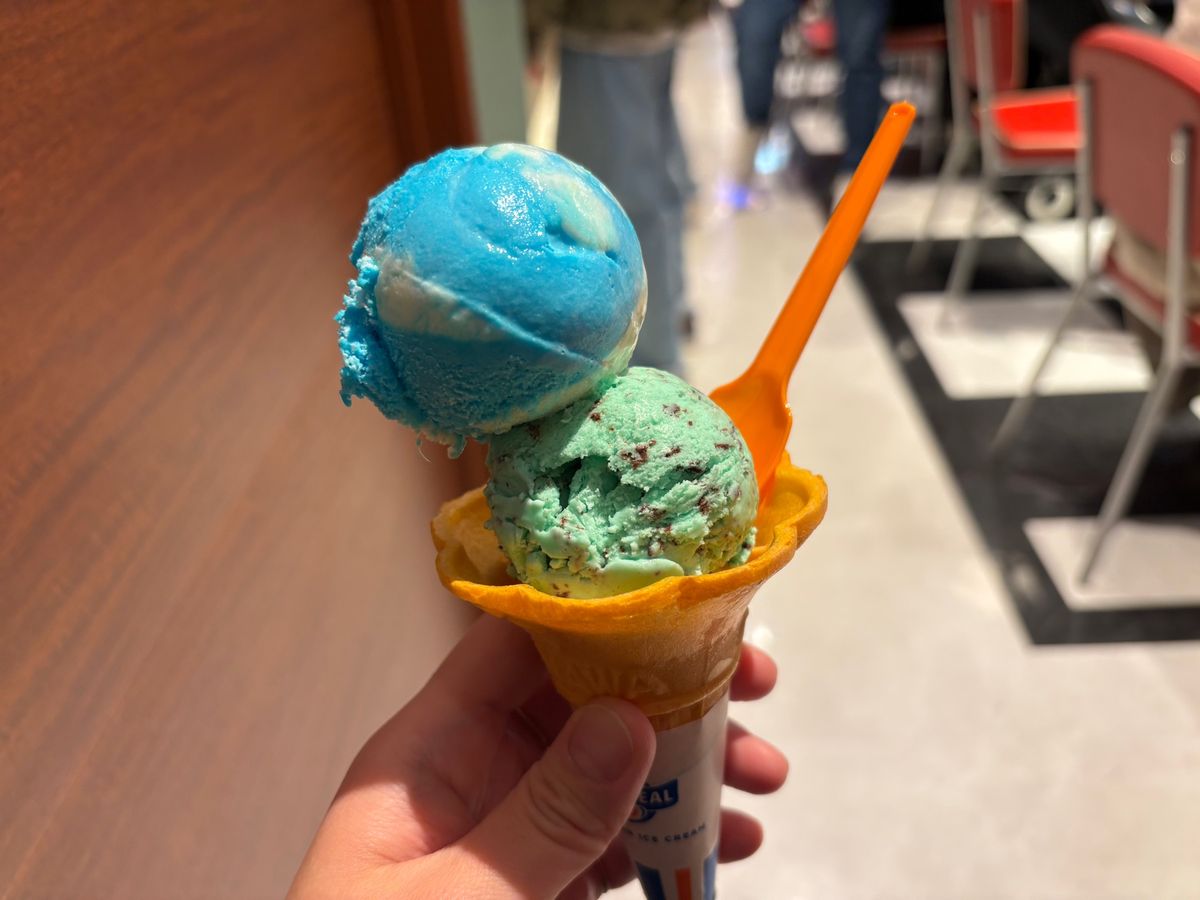 国際通りの居酒屋で海ぶどう食べまくり！
ブルーシールアイスも食べた！