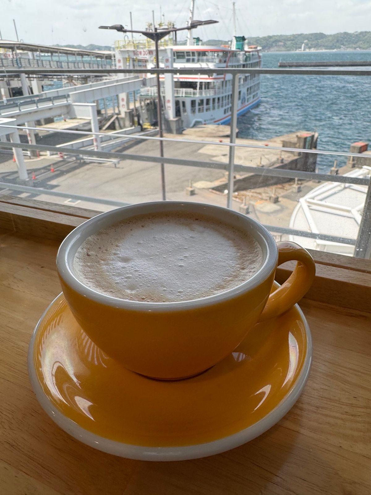 鹿児島県桜島
●フェリーから見た桜島
●桜島のたぬき岩
●叫びの肖像
●桜...