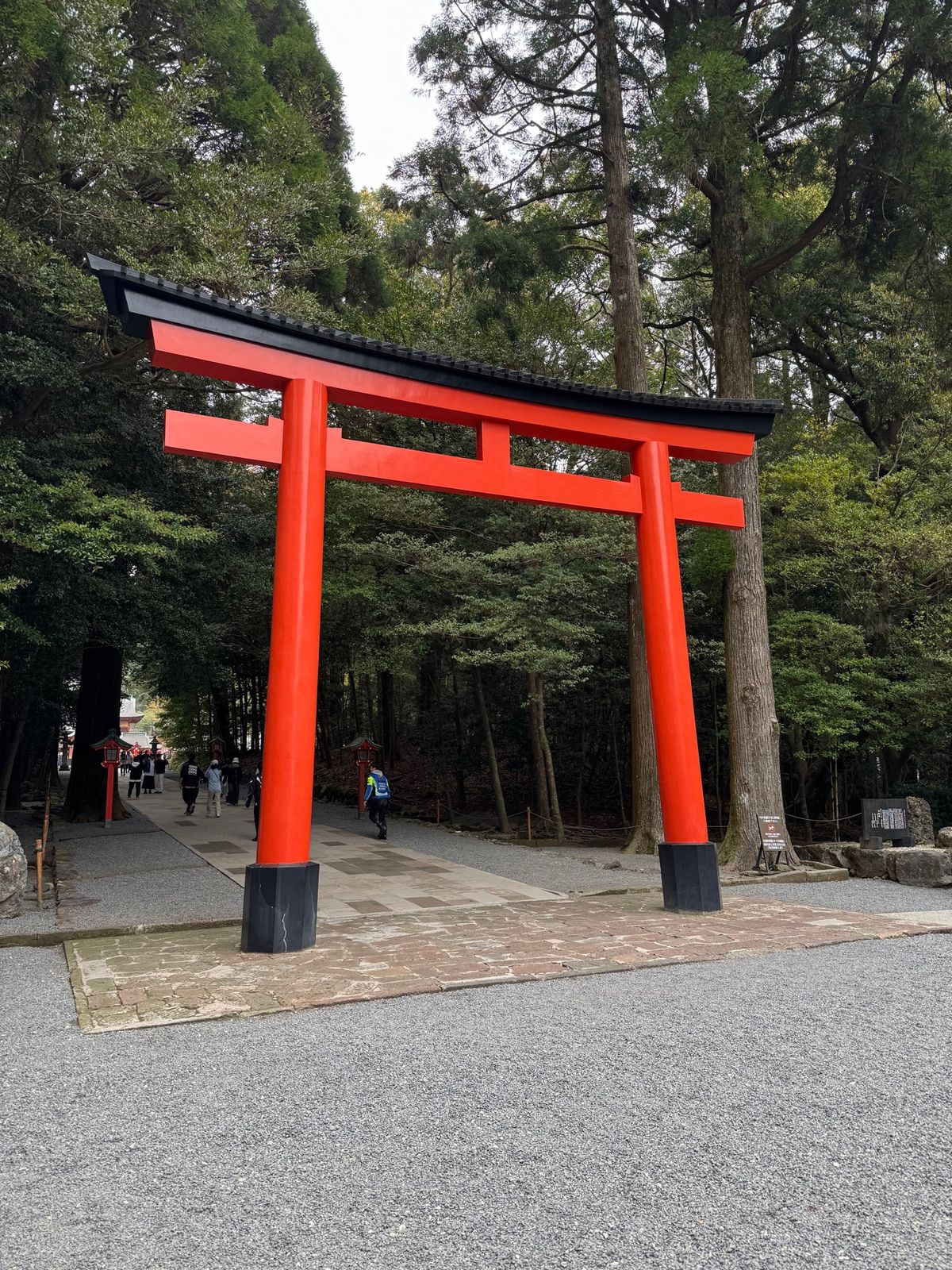 鹿児島県霧島市
●霧島神宮　第三の鳥居
●霧島神宮の桜
●霧島神宮社殿
●...