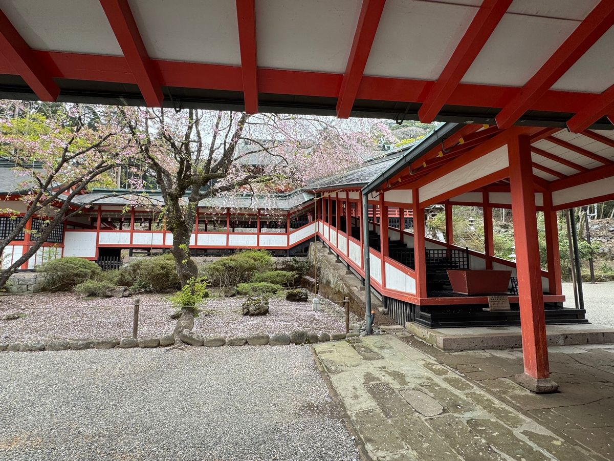 鹿児島県霧島市
●霧島神宮　第三の鳥居
●霧島神宮の桜
●霧島神宮社殿
●...