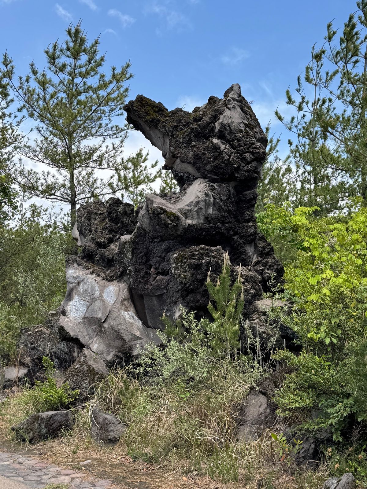 鹿児島県桜島
●フェリーから見た桜島
●桜島のたぬき岩
●叫びの肖像
●桜...
