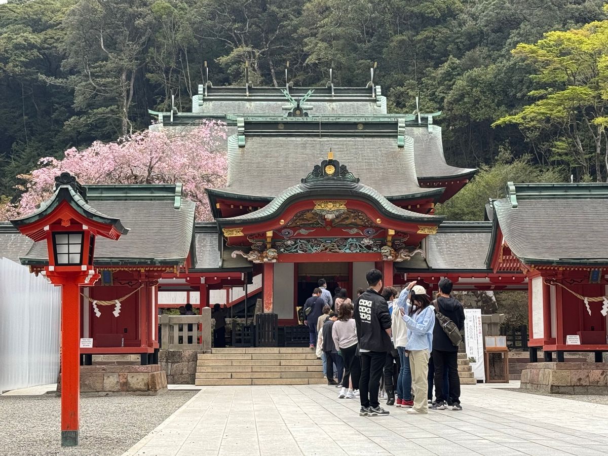 鹿児島県霧島市
●霧島神宮　第三の鳥居
●霧島神宮の桜
●霧島神宮社殿
●...