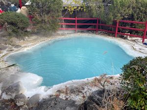 別府地獄めぐりのかまど地獄。