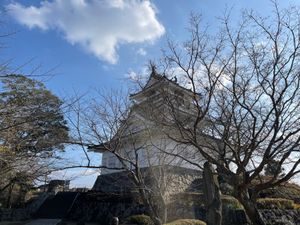 旅の最後は大分空港に向かう途中の杵築へ。杵築城に行ってみました。城からの景...