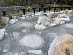 別府地獄めぐりの鬼石坊主地獄。こちらは灰色のドロドロした熱湯。