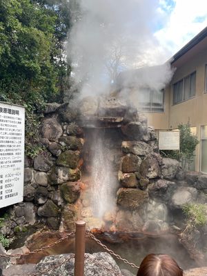 別府地獄めぐりの竜巻地獄。こちらは間欠泉。30〜40分に一度くらい100度...