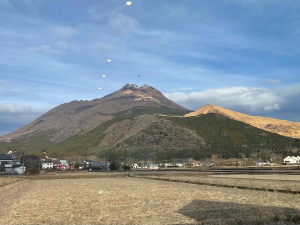 日本・別府温泉「2024年末・大分温泉家族旅行」の写真：湯布院温泉に戻ってオヤツタイム。カウンタ...