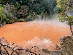 別府地獄めぐり。こちらは血の池地獄。真っ赤な熱湯です。