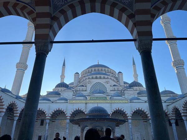 エジプト「エジプト、トルコの旅」の写真：トルコのブルーモスも素敵でした。ジャガイモの...