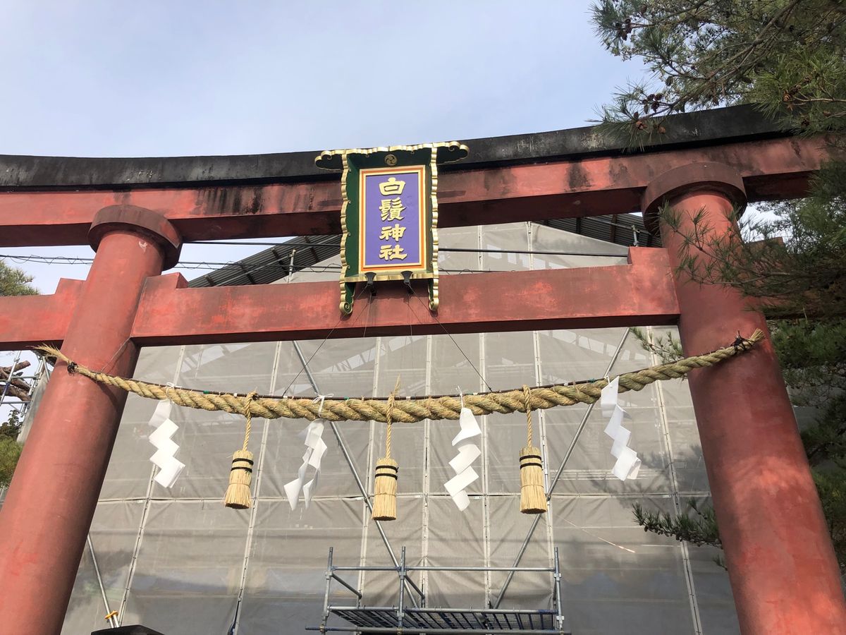 一年越しでやっといけた白鬚神社⛩️
こちらも素晴らしかった♡