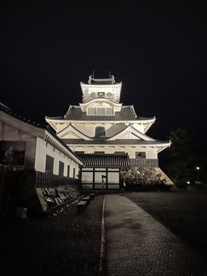 一年越しでやっといけた白鬚神社⛩️
こちらも素晴らしかった♡