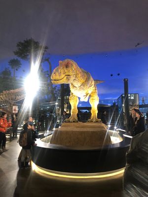 恐竜博物館🦕すごかった！！
雪・交通の関係で短時間だったのが残念😢
感動の...