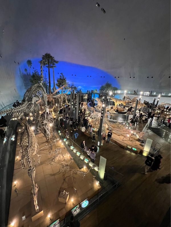日本・福井県「福井県・滋賀県旅行♡2024」の写真：恐竜博物館🦕すごかった！！
雪・交通の関...